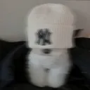 shoyyoxd