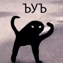 Discord Avatar