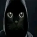 l13y