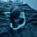 avatar <3