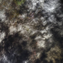 avatar AChickenFriedRight