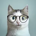ohioirony avatar