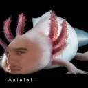 axios.exe