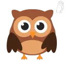 blindowliscoolly