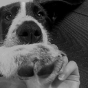 avatar ·˚ ༘🌷*ೃ༄ ᴊᴏʀᴅꜱ *ೃ