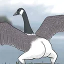 alexoj