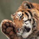 avatar ⭑ 𖥨. ࣪ ꒰ 𝓈𝑜𝓊𝓅 ꒱