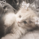 avatar ⭑ 𖥨. ࣪ ꒰ 𝓈𝑜𝓊𝓅 ꒱