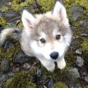 avatar ˖ ֹ੭୧ soup ⸝⸝.ᐟ⋆