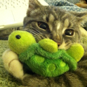 avatar ˖ ֹ੭୧ soup ⸝⸝.ᐟ⋆