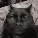roseisofflinee