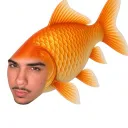 hayranee