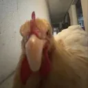 nalii0