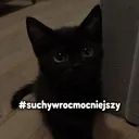 redcatalt123