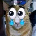 fargonzo_84887 avatar