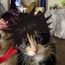 somebody once told me