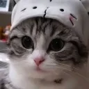 frostarika