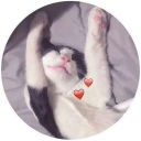 chloe_louise member profile picture