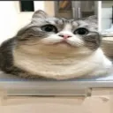 Аватар officialdanya