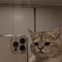 imjustcatyk