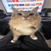 s3ntrical