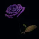 dope_dreamer