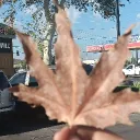 erlcfanwhoo