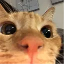 nutty4363