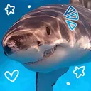 jaws.draws