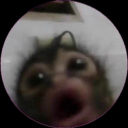 View goodnightvr's Profile