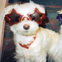 avatar 멈무 ^ ̳- ‧̫ • ̳^