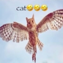 avatar JOLLY ~ Moonlit.FLP ~