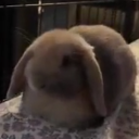 avatar ~ Moonlit.FLP ~