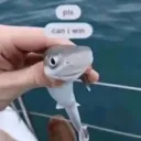 v1ncents.shark