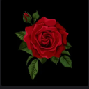 avatar ᴰᵃʳᵏᴿᵒˢᵉ !Haj abOWL