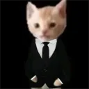 hop_hop_1