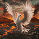 designpro0763