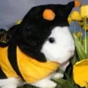 yurskiy1