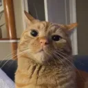 ajterell_85341 avatar