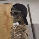 avenoiree#5056's avatar