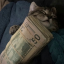 avatar Holy Glaze 🙏