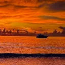 undipin_04879