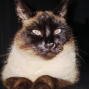 avatar 𝑻𝒆𝒕𝒂 𝑳𝒂𝒖𝒓𝒂