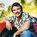 DonFryed