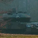 leijonas_king