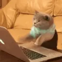 chloe_cybersauce