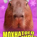 markuz_123