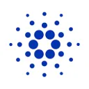 cardano_foundation