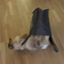 C3bd5e894237acc657dd591c778dc26a