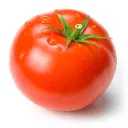 tomatofruitvegetable avatar